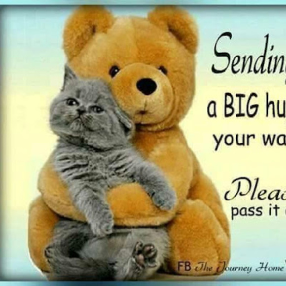 Meet your Posher, Cynthia - Picture 1 of 1